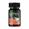 Microdose Golden Teacher