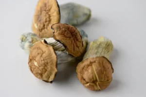 Not Your Average Fungi: Magic Mushrooms Follow Cannabis for Potential Health Benefits