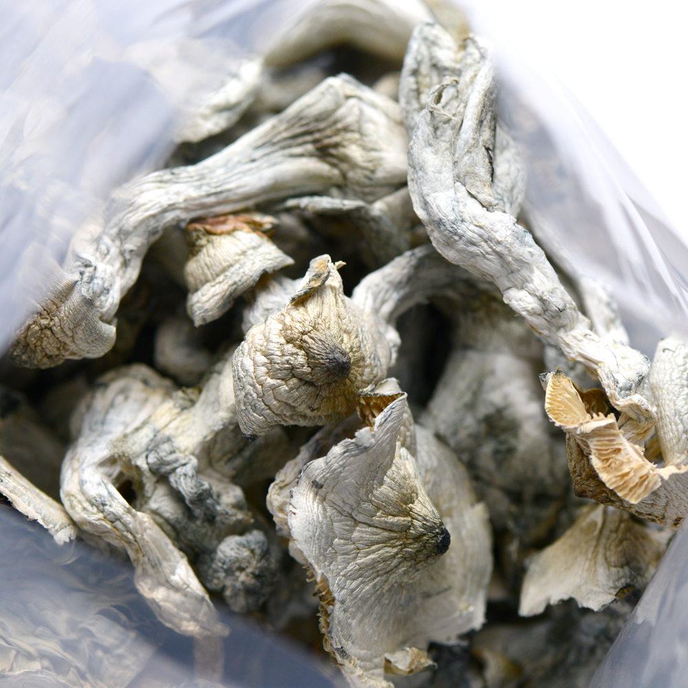 New Study Finds – Using Psilocybin Therapy for Long-Term Relief from Anxiety and Depression in Cancer Patients