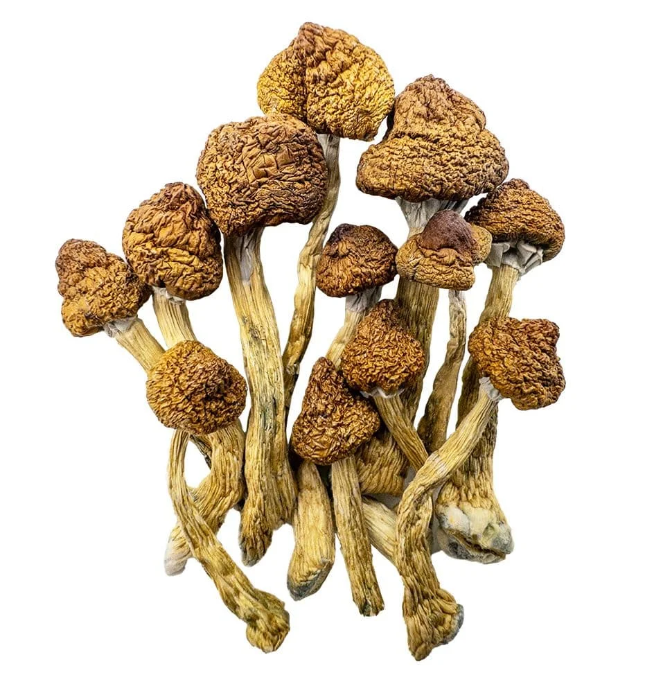 Shroomdelivery
